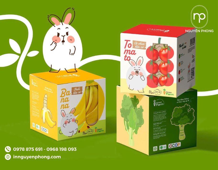 Mẫu hộp đựng trái cây sấy họa tiết dễ thương